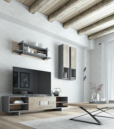 Tv wall unit set Trunk